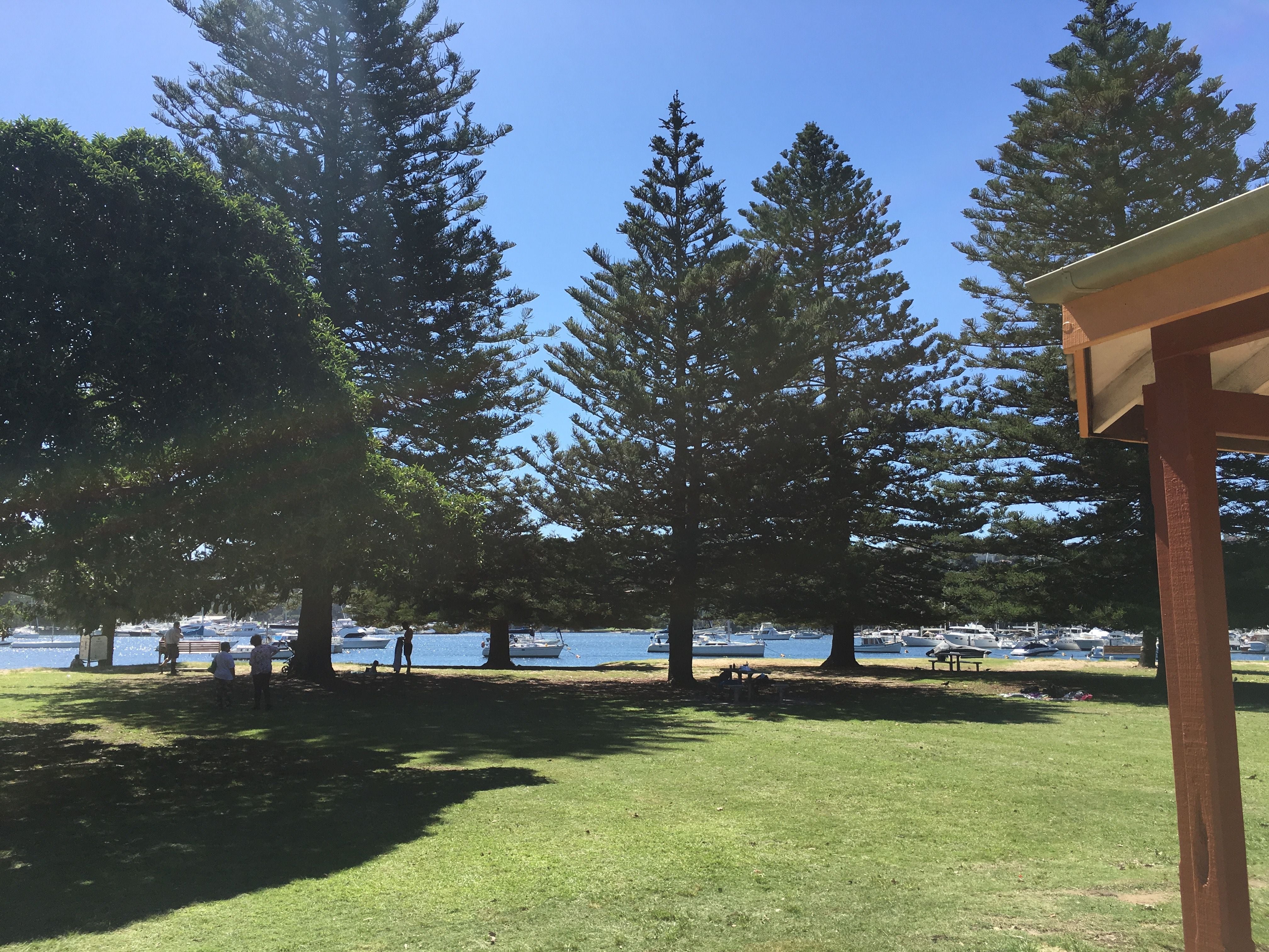 Northern Beaches Public Day Tour febuary 2019 Image -5c649683b93fc